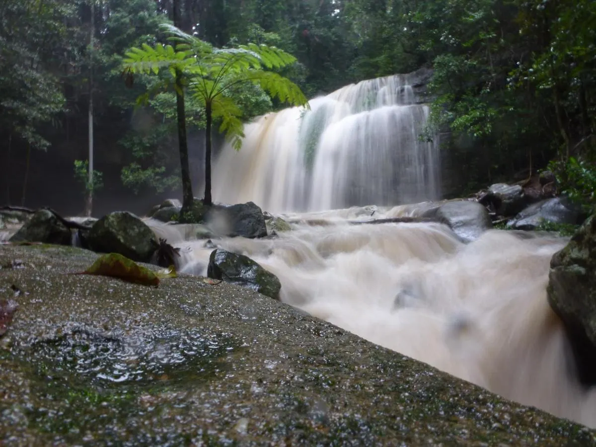 Buderim Forest Hideaway