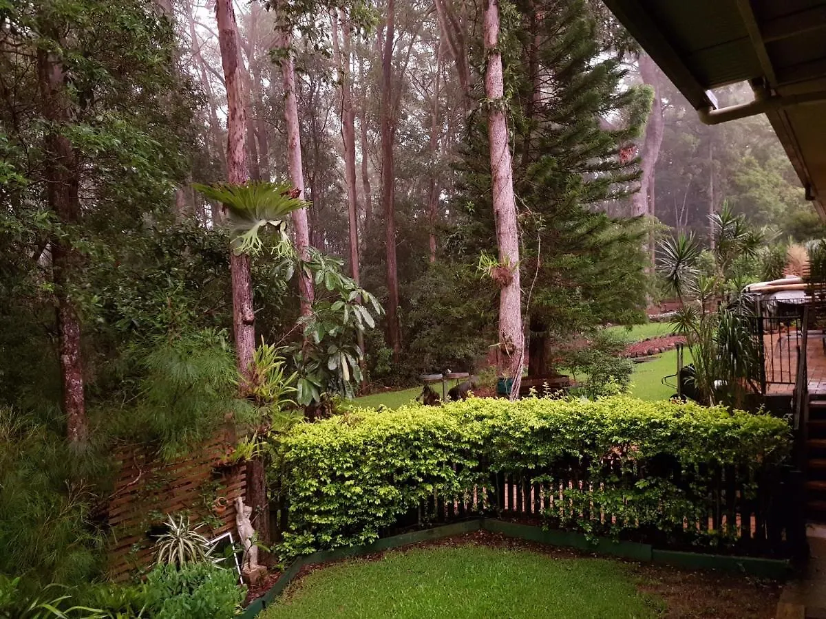 Buderim Forest Hideaway Bed & Breakfast